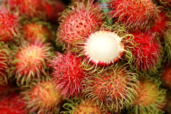 Rambutan Fruit 250g