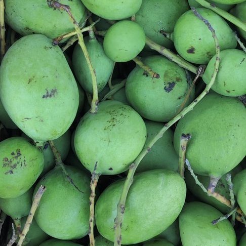 Green Mango 250g